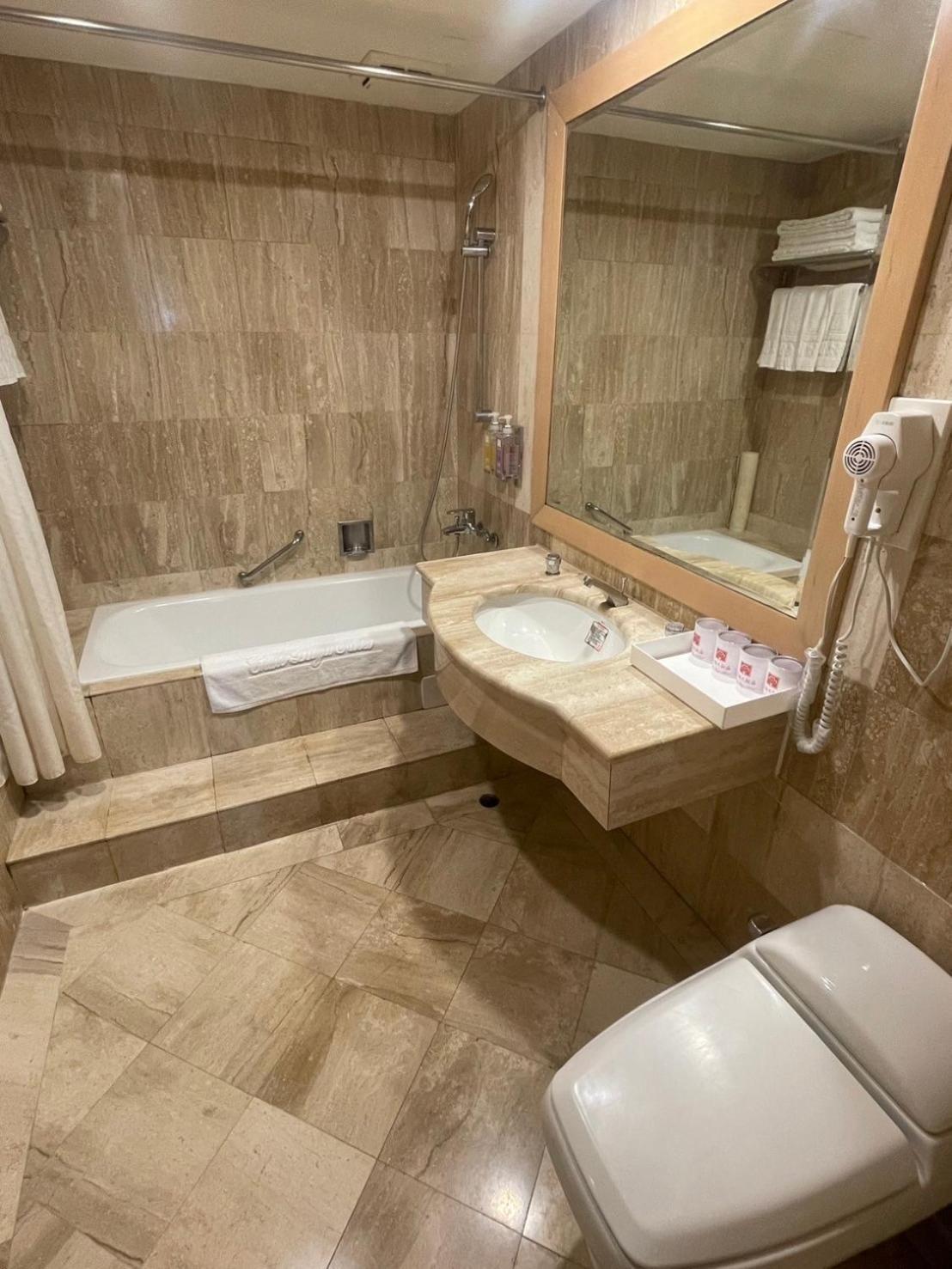 Chuto Plaza Hotel Taoyuan Dış mekan fotoğraf